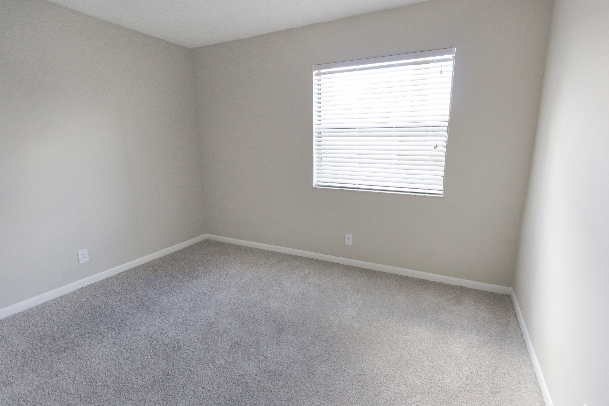 Gallery Photo 49